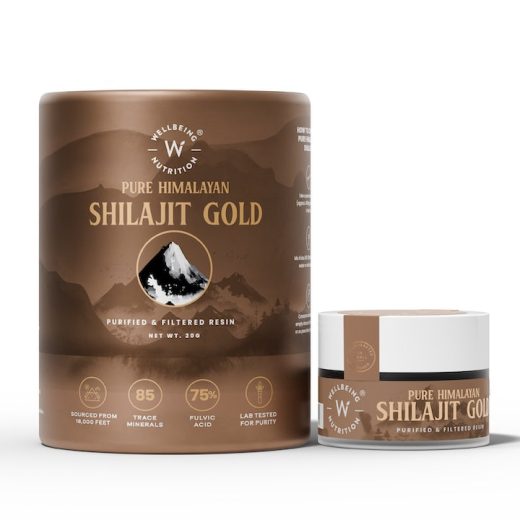 Wellbeing Nutrition Pure Himalayan Shilajit Gold Resin - With Safed Musli, Ashwagandha, Swarna Bhasma saffron, cinnamon & cardamon (20 gm)